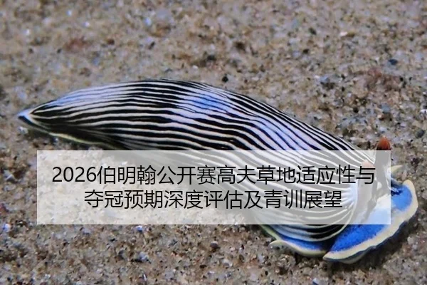 2026伯明翰公开赛高夫草地适应性与夺冠预期深度评估及青训展望