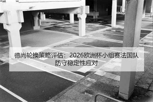 de-shang-lun-huan-ce-lve-ping-gu-ou-zhou-bei-xiao-zu-sai-fa-guo-dui-fang-shou-wen-ding-xing-ying-dui-2-463.jpg